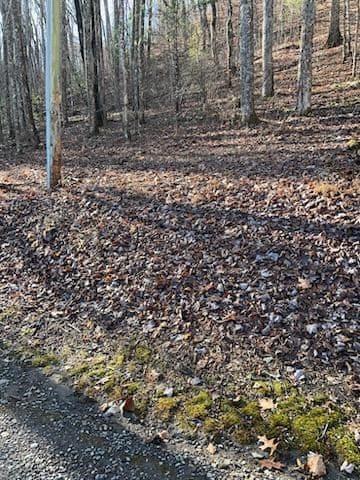 26 Soapstone Creek Circle, Hiawassee GA 30546 - Photo