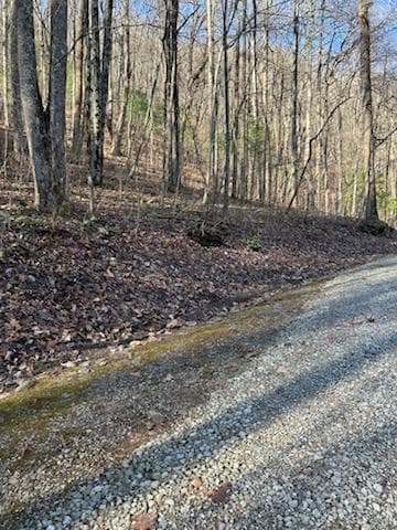 26 Soapstone Creek Circle, Hiawassee GA 30546 - Primary photo