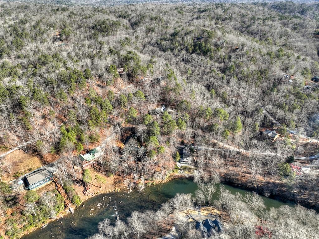 146 Neaptide Drive, Ellijay GA 30540 - Photo