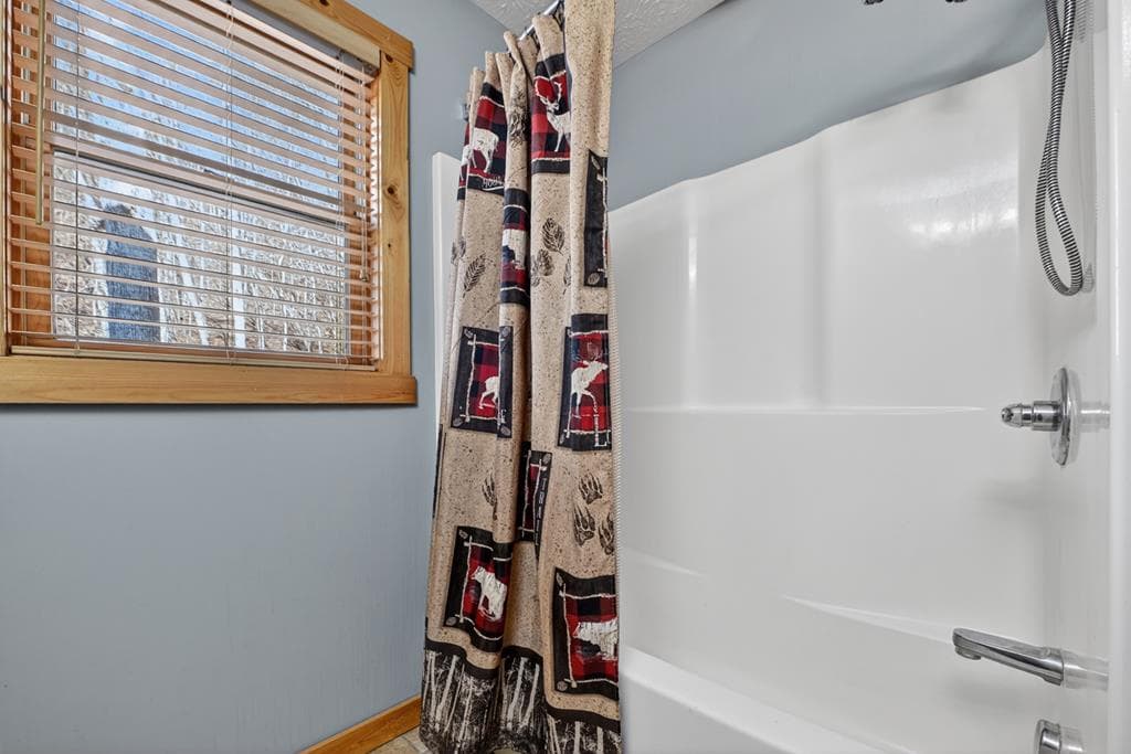 146 Neaptide Drive, Ellijay GA 30540 - Photo