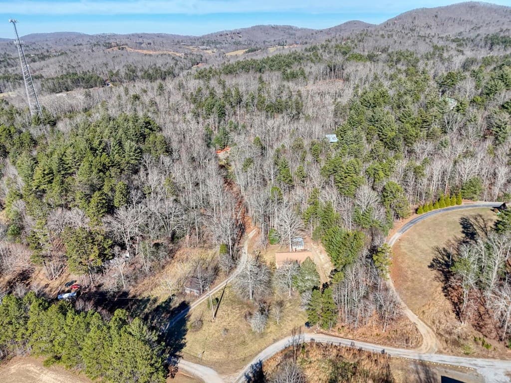17 Turning Lay Creek Road, Morganton GA 30560 - Photo