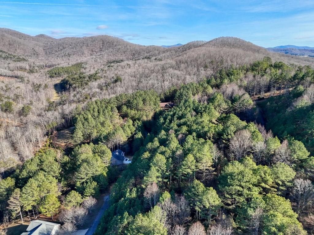 Lot 14 Pinehurst, Blairsville GA 30512 - Photo