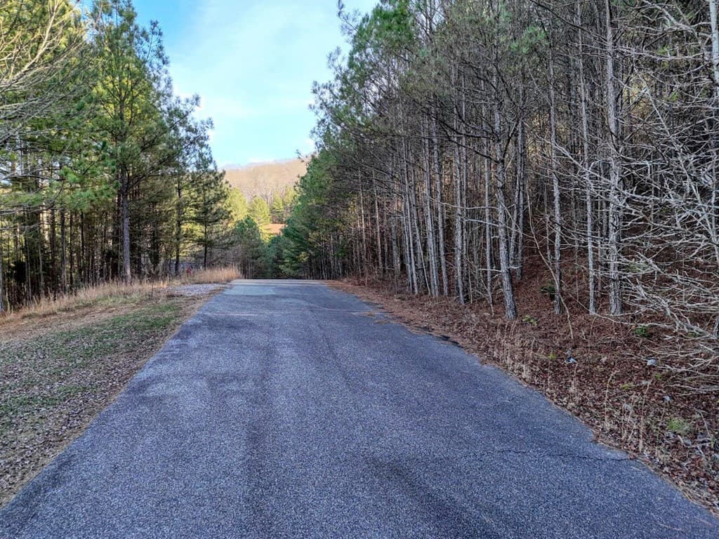 Lot 14 Pinehurst, Blairsville GA 30512 - Photo