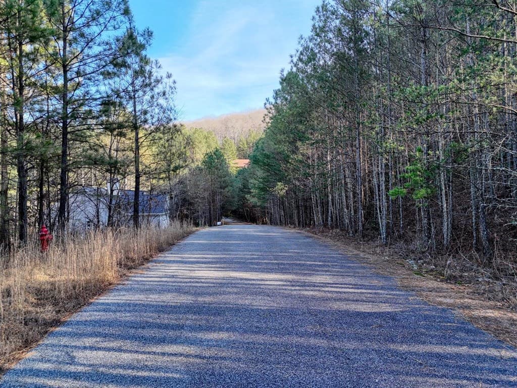Lot 14 Pinehurst, Blairsville GA 30512 - Photo