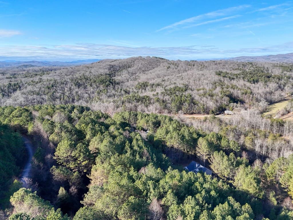 Lot 14 Pinehurst, Blairsville GA 30512 - Photo