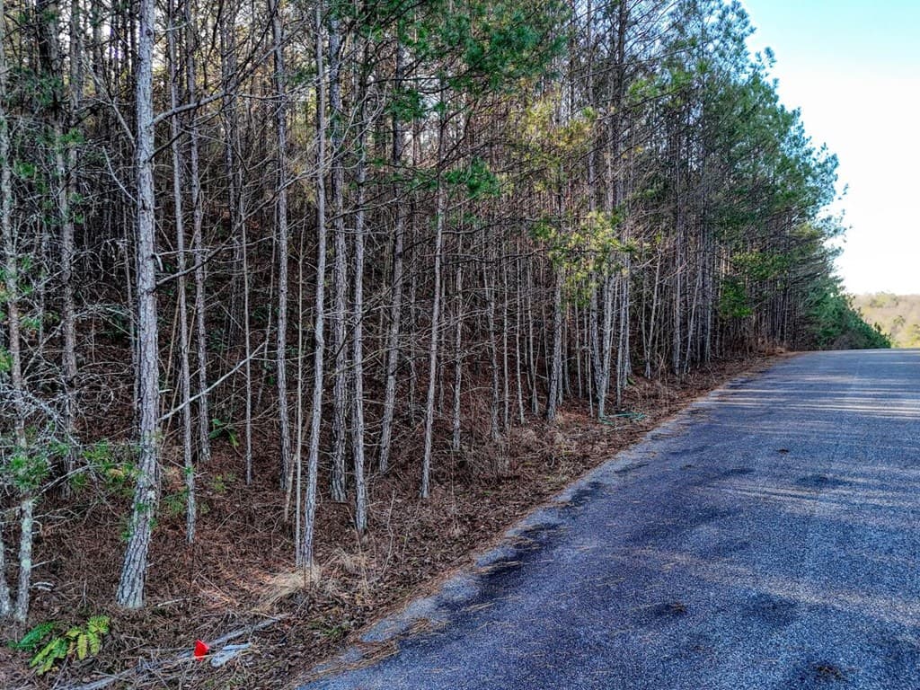 Lot 14 Pinehurst, Blairsville GA 30512 - Photo