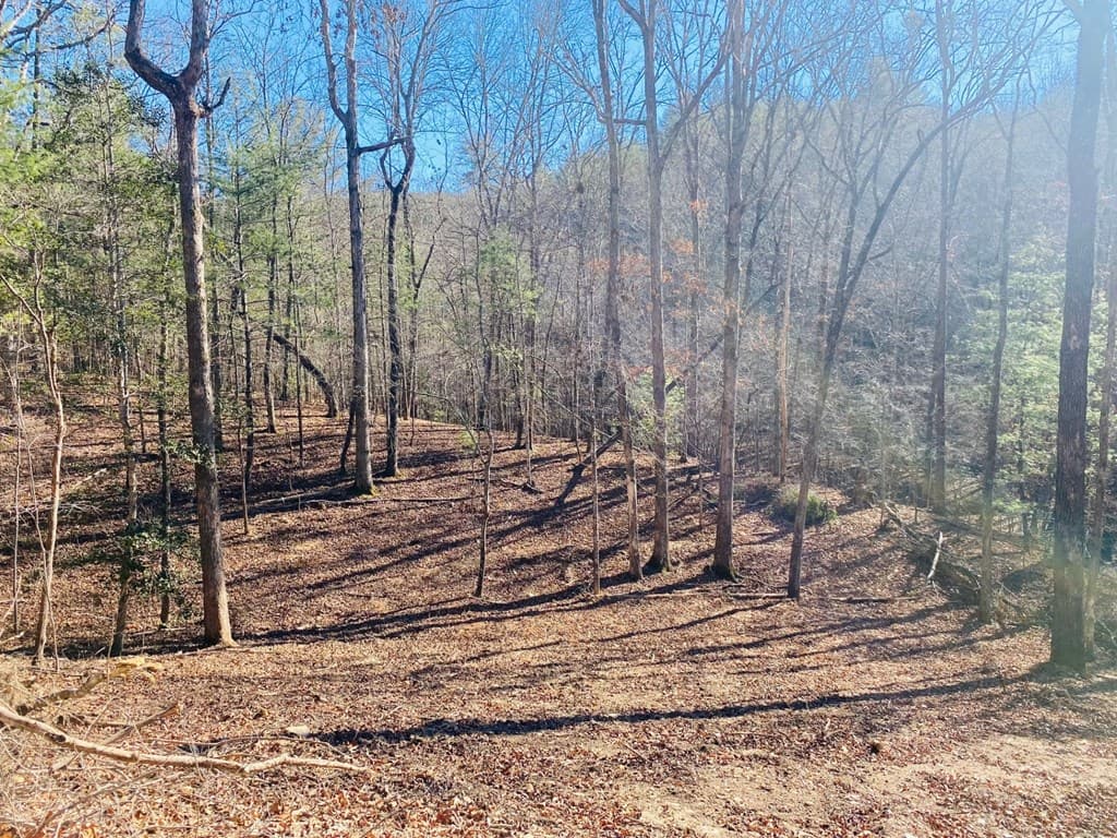 Lot 205 Windy Mountain Peak Lane, Murphy NC 28906 - Photo