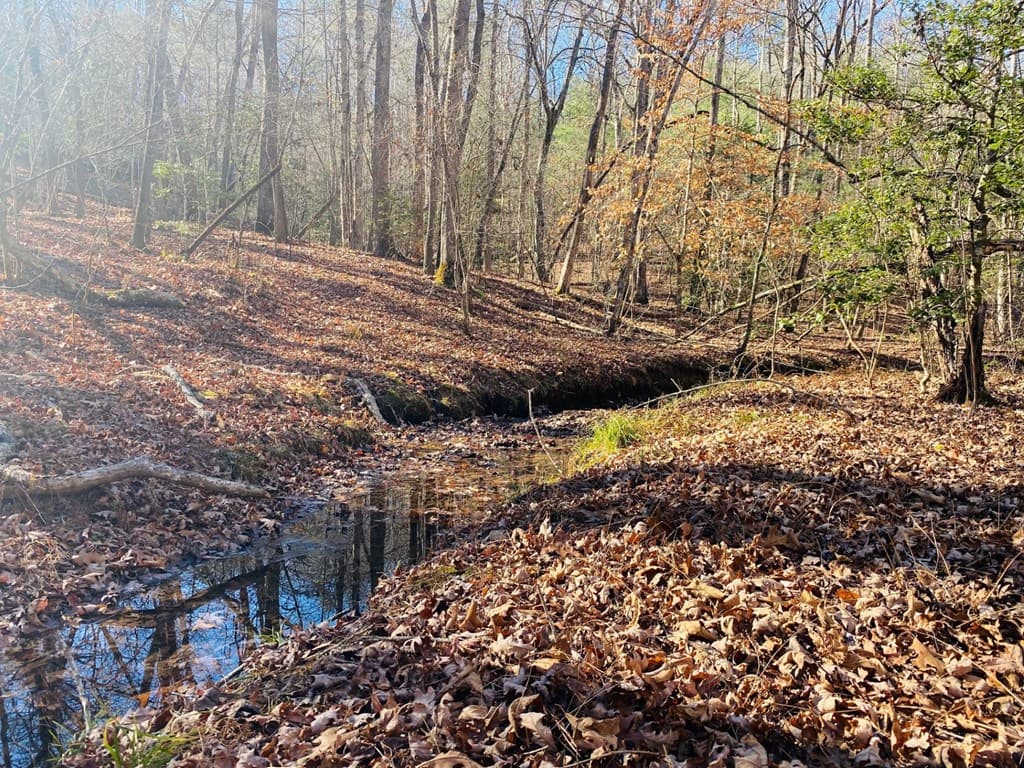 Lot 205 Windy Mountain Peak Lane, Murphy NC 28906 - Photo