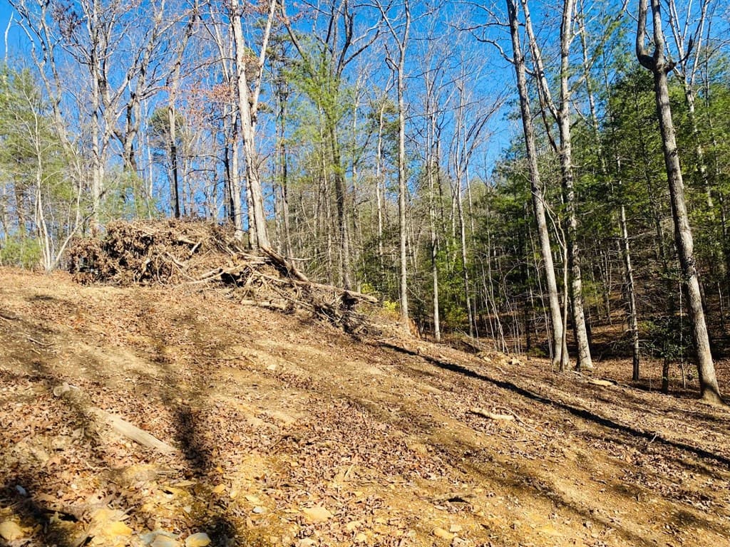 Lot 205 Windy Mountain Peak Lane, Murphy NC 28906 - Photo