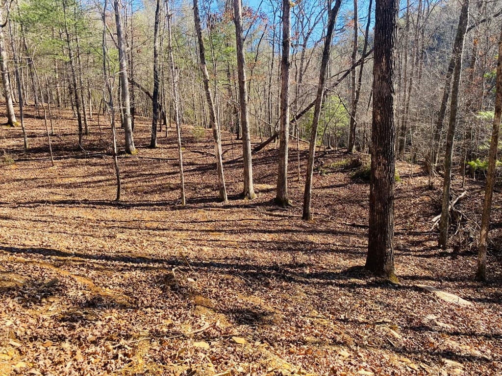 Lot 205 Windy Mountain Peak Lane, Murphy NC 28906 - Photo