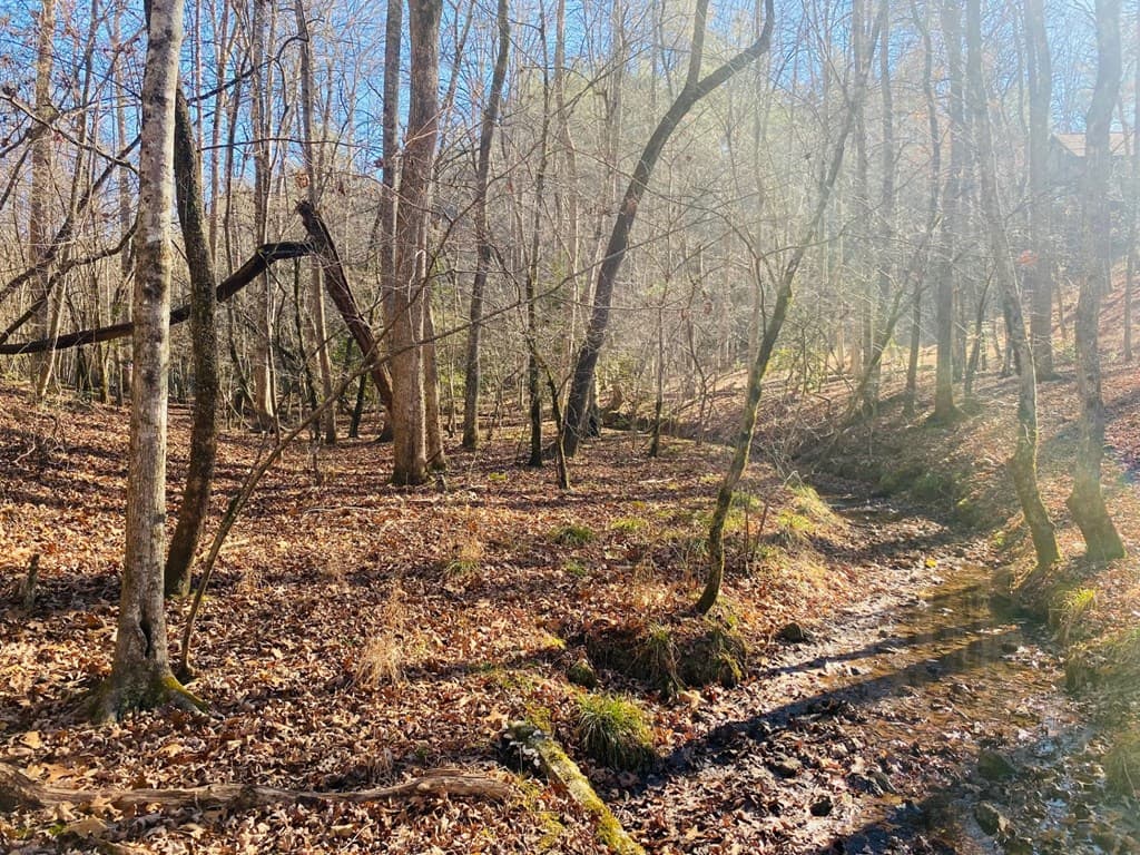 Lot 205 Windy Mountain Peak Lane, Murphy NC 28906 - Photo