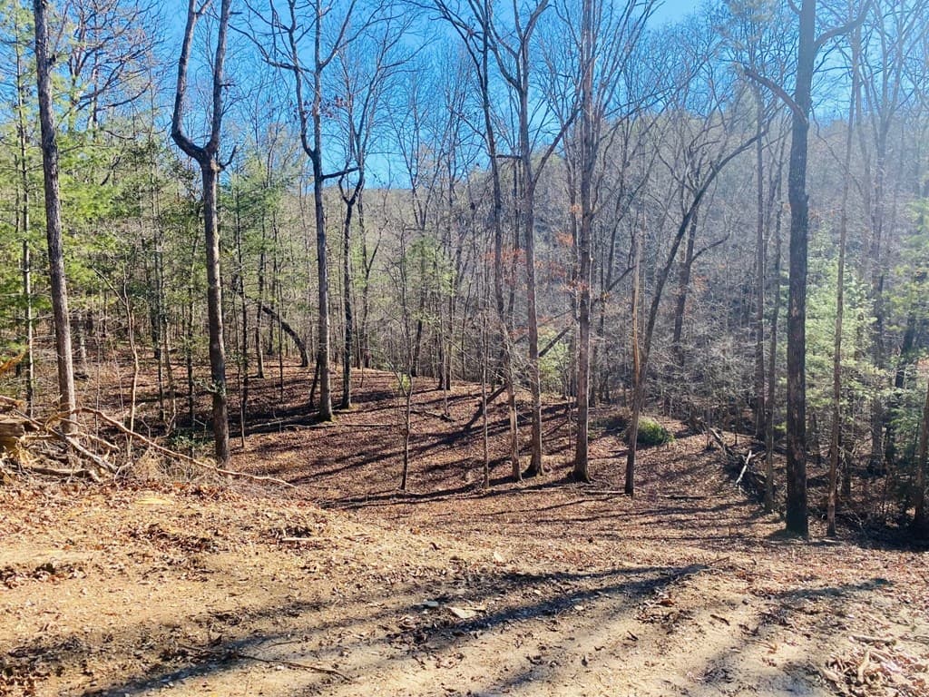 Lot 205 Windy Mountain Peak Lane, Murphy NC 28906 - Photo