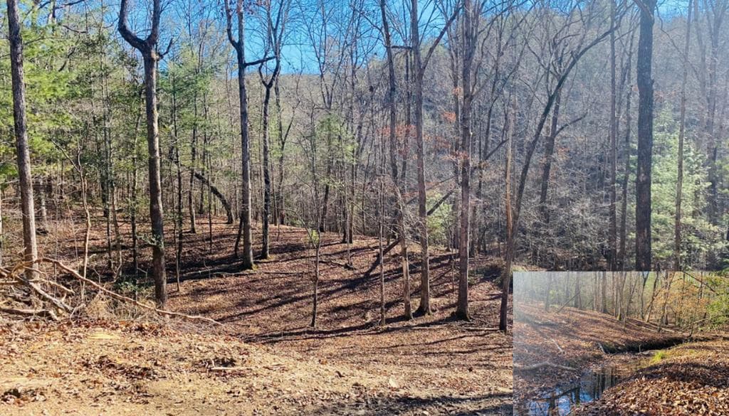 Lot 205 Windy Mountain Peak Lane, Murphy NC 28906 - Primary photo
