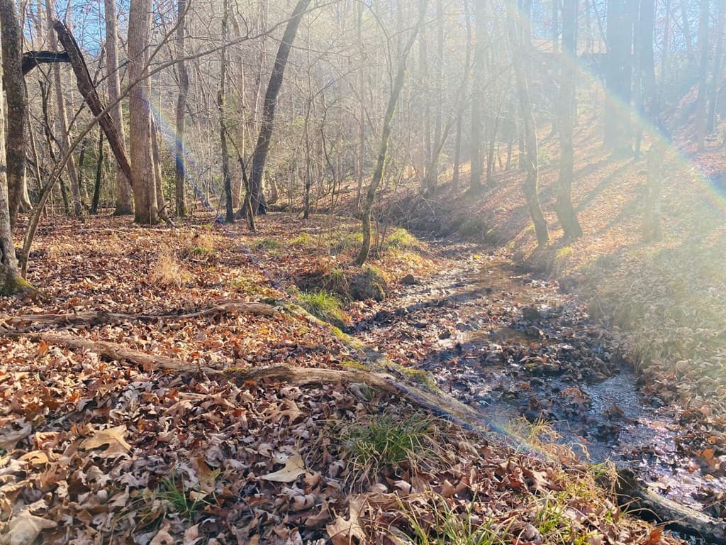 Lot 205 Windy Mountain Peak Lane, Murphy NC 28906 - Photo