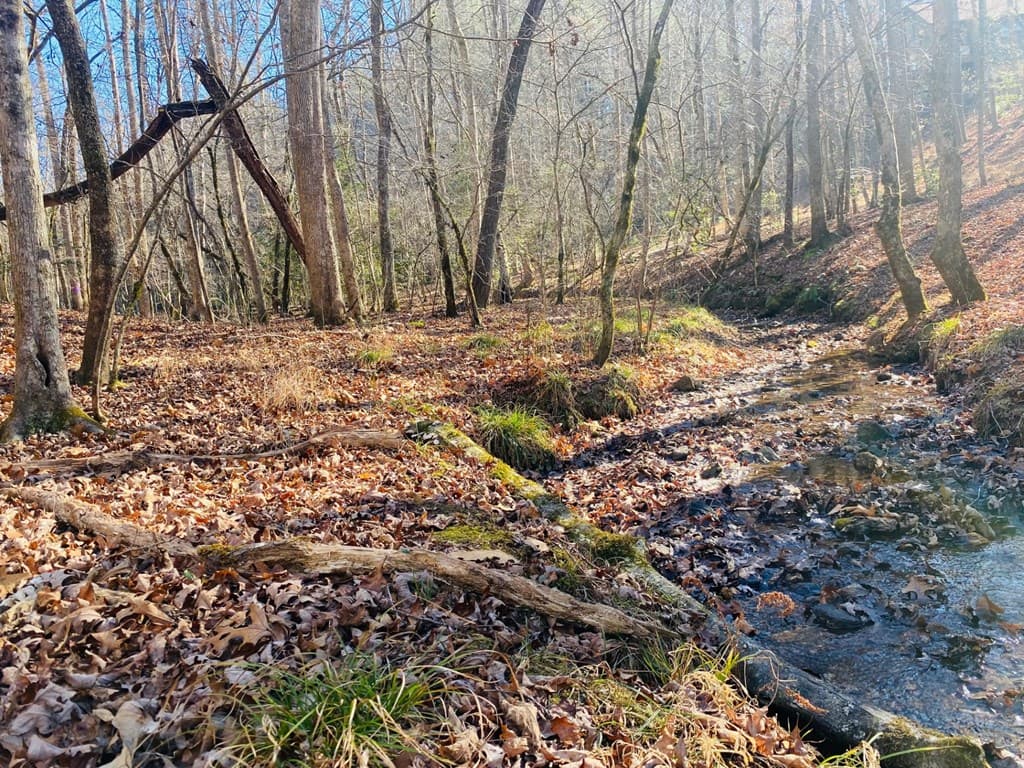 Lot 205 Windy Mountain Peak Lane, Murphy NC 28906 - Photo