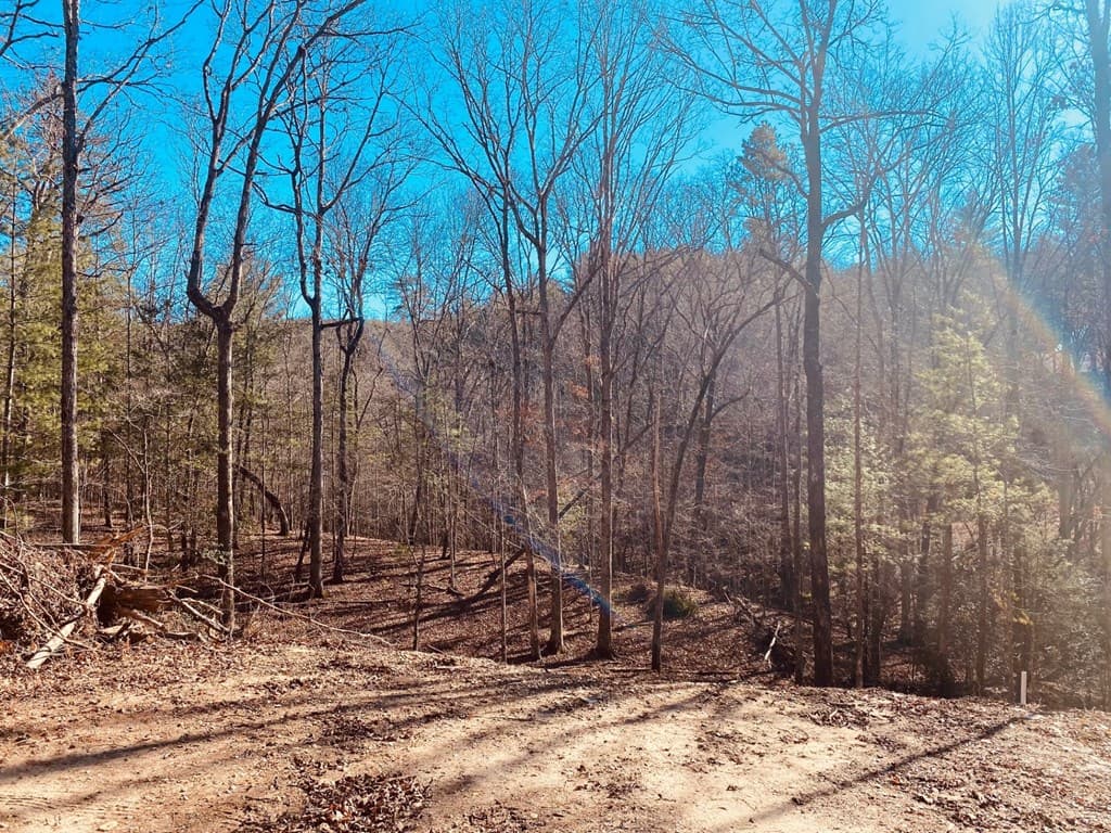 Lot 205 Windy Mountain Peak Lane, Murphy NC 28906 - Photo