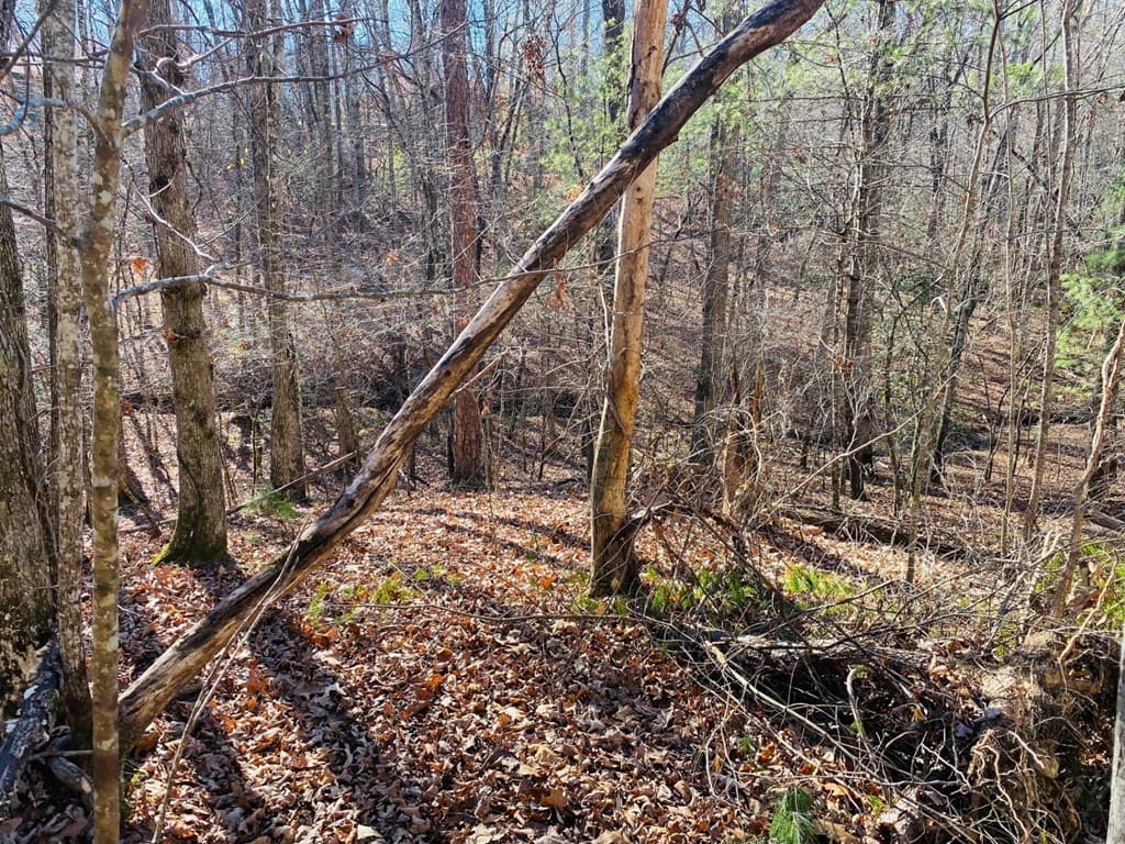Lot 205 Windy Mountain Peak Lane, Murphy NC 28906 - Photo