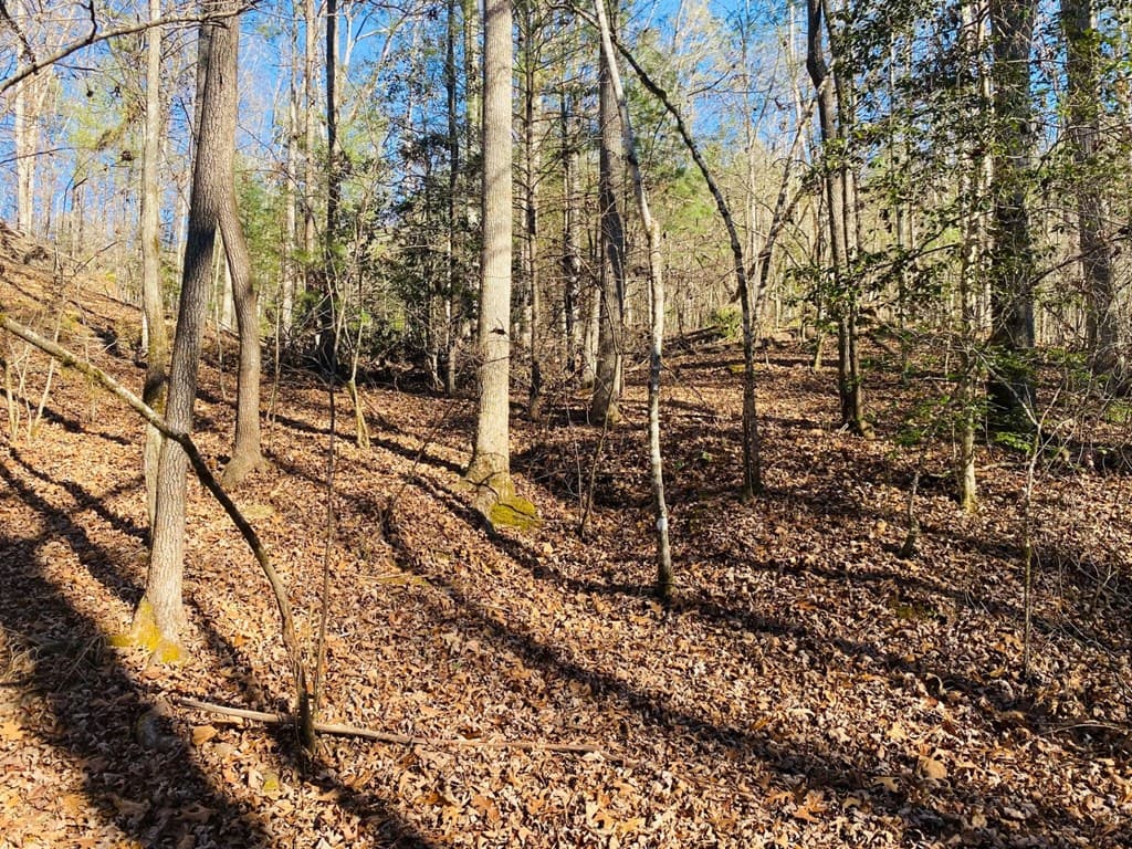 Lot 205 Windy Mountain Peak Lane, Murphy NC 28906 - Photo