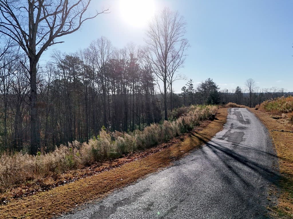 Lot 173 Lecroy Drive, Ellijay GA 30540 - Photo