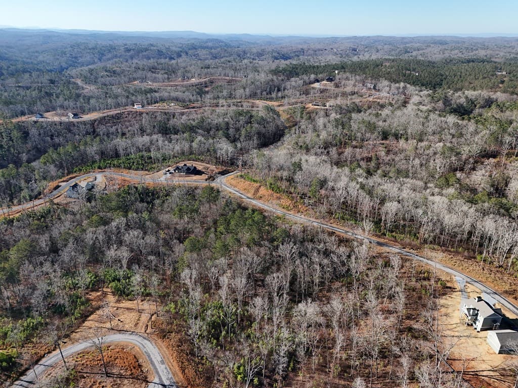 Lot 173 Lecroy Drive, Ellijay GA 30540 - Photo