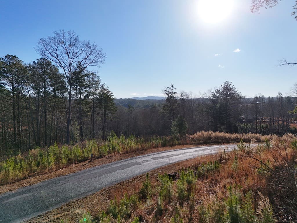 Lot 173 Lecroy Drive, Ellijay GA 30540 - Photo