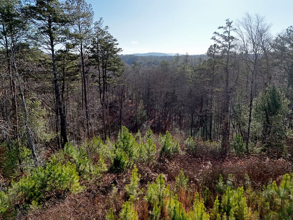 Lot 173 Lecroy Drive, Ellijay GA 30540 - Photo