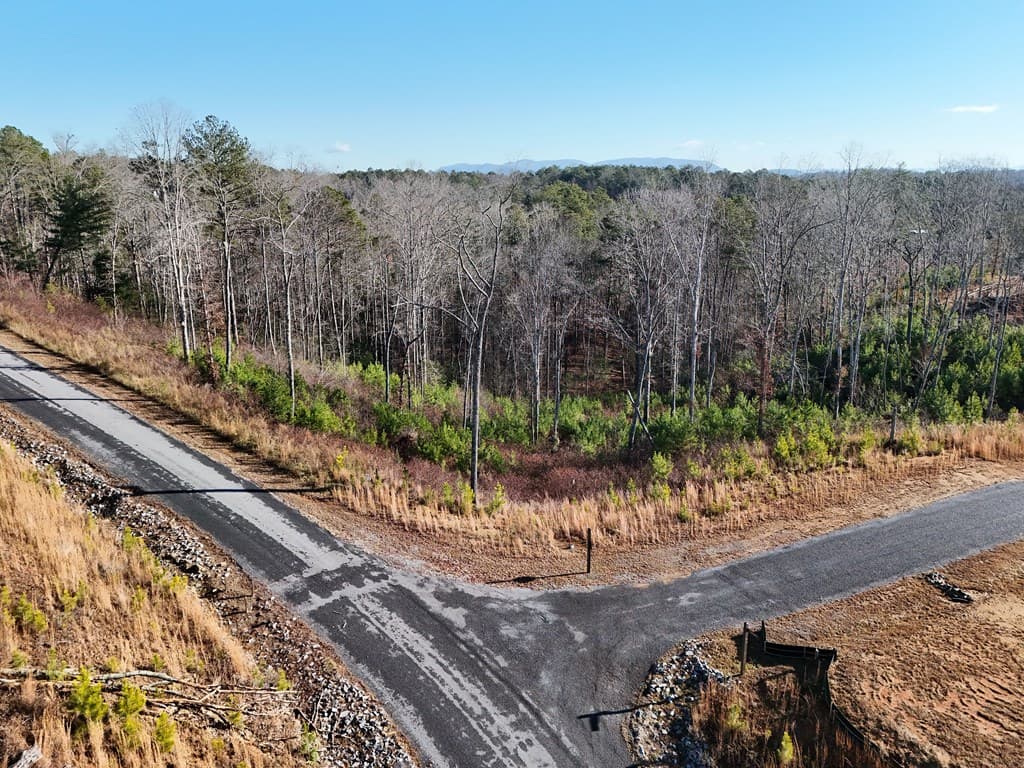 Lot 173 Lecroy Drive, Ellijay GA 30540 - Photo