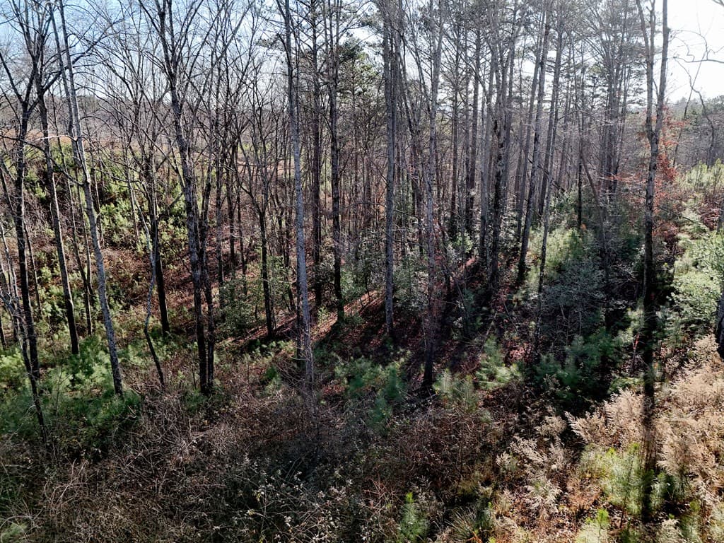 Lot 173 Lecroy Drive, Ellijay GA 30540 - Photo
