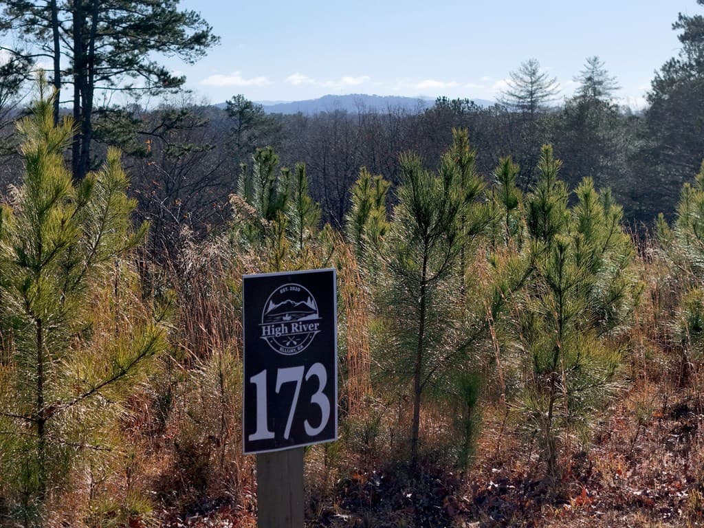 Lot 173 Lecroy Drive, Ellijay GA 30540 - Photo
