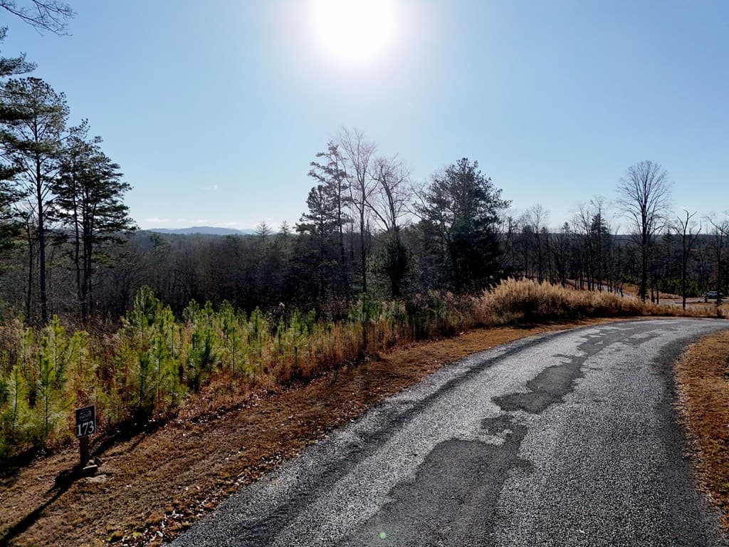 Lot 173 Lecroy Drive, Ellijay GA 30540 - Photo