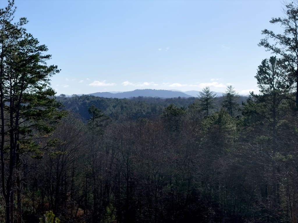 Lot 173 Lecroy Drive, Ellijay GA 30540 - Photo