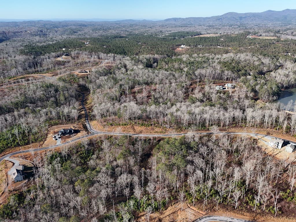 Lot 173 Lecroy Drive, Ellijay GA 30540 - Photo