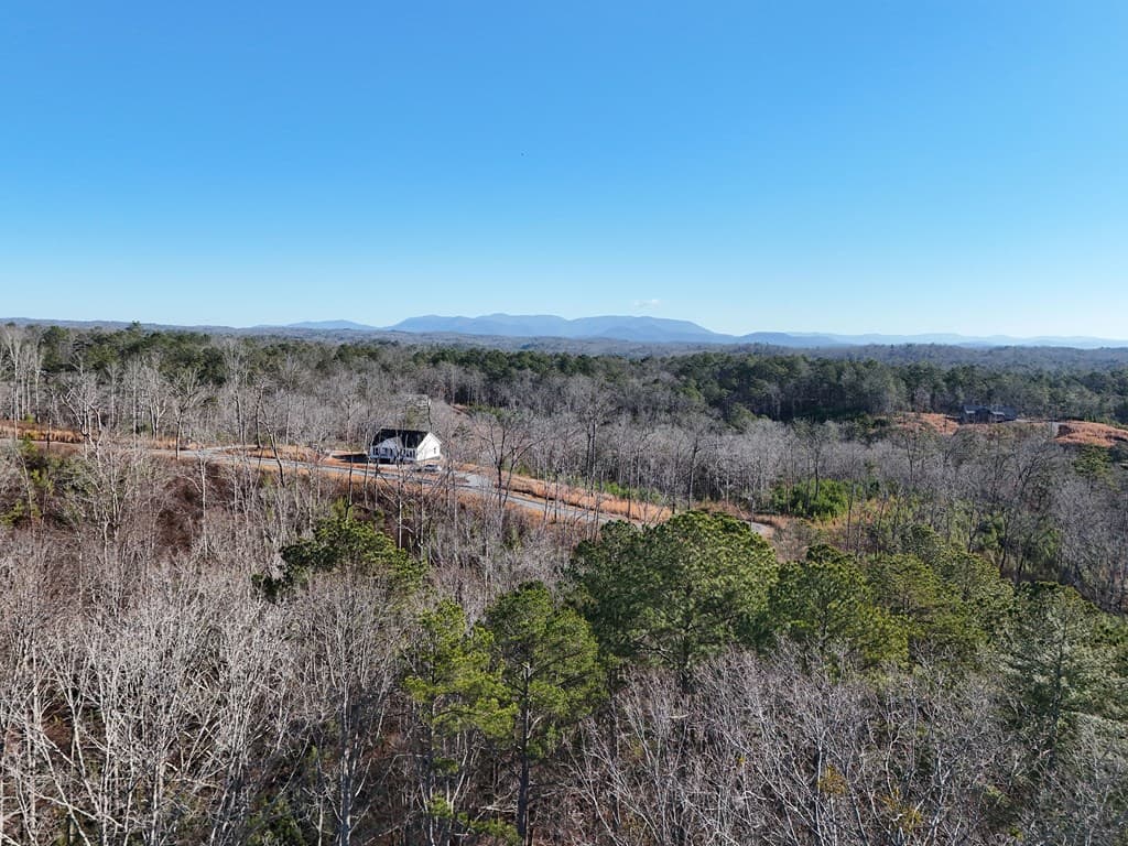 Lot 173 Lecroy Drive, Ellijay GA 30540 - Photo