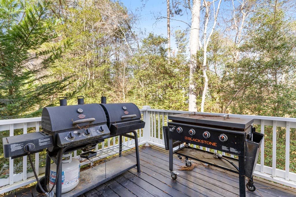 41 Brumby Trail, Ellijay GA 30536 - Photo