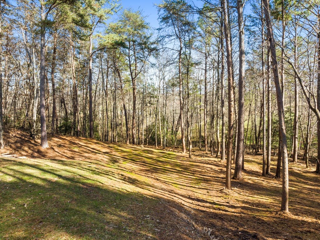 41 Brumby Trail, Ellijay GA 30536 - Photo