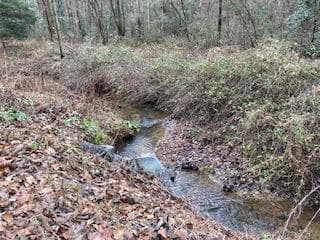 Lot 52 Llama Lane, Ellijay GA 30540 - Photo