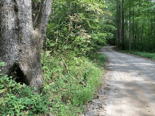 Lot 52 Llama Lane, Ellijay GA 30540 - Photo