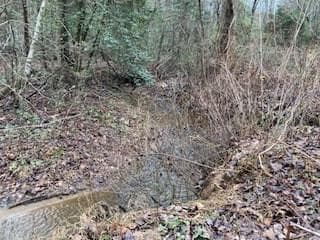 Lot 52 Llama Lane, Ellijay GA 30540 - Primary photo