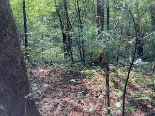Lot 52 Llama Lane, Ellijay GA 30540 - Photo
