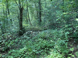 Lot 52 Llama Lane, Ellijay GA 30540 - Photo