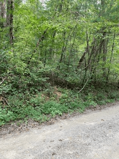 53 Llama Lane, Ellijay GA 30540 - Photo