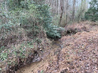 53 Llama Lane, Ellijay GA 30540 - Photo