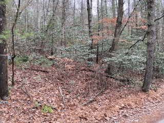 53 Llama Lane, Ellijay GA 30540 - Photo
