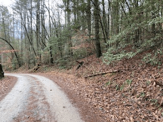 53 Llama Lane, Ellijay GA 30540 - Photo