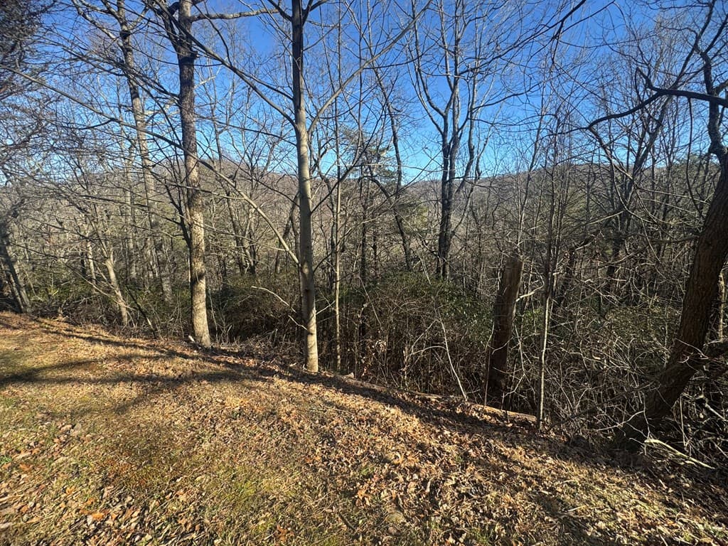 Lot 228 Andes Ridge, Ellijay GA 30540 - Photo