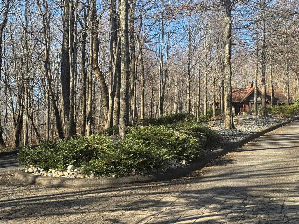 Lot 228 Andes Ridge, Ellijay GA 30540 - Photo