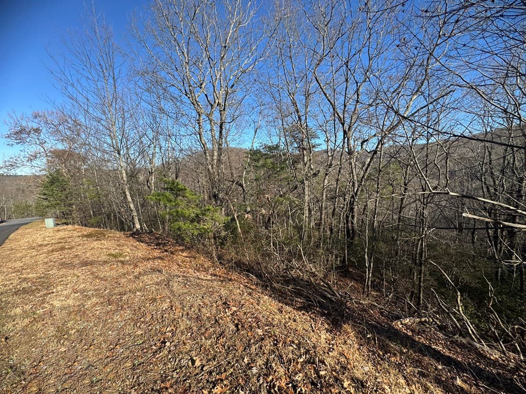 Lot 228 Andes Ridge, Ellijay GA 30540 - Photo