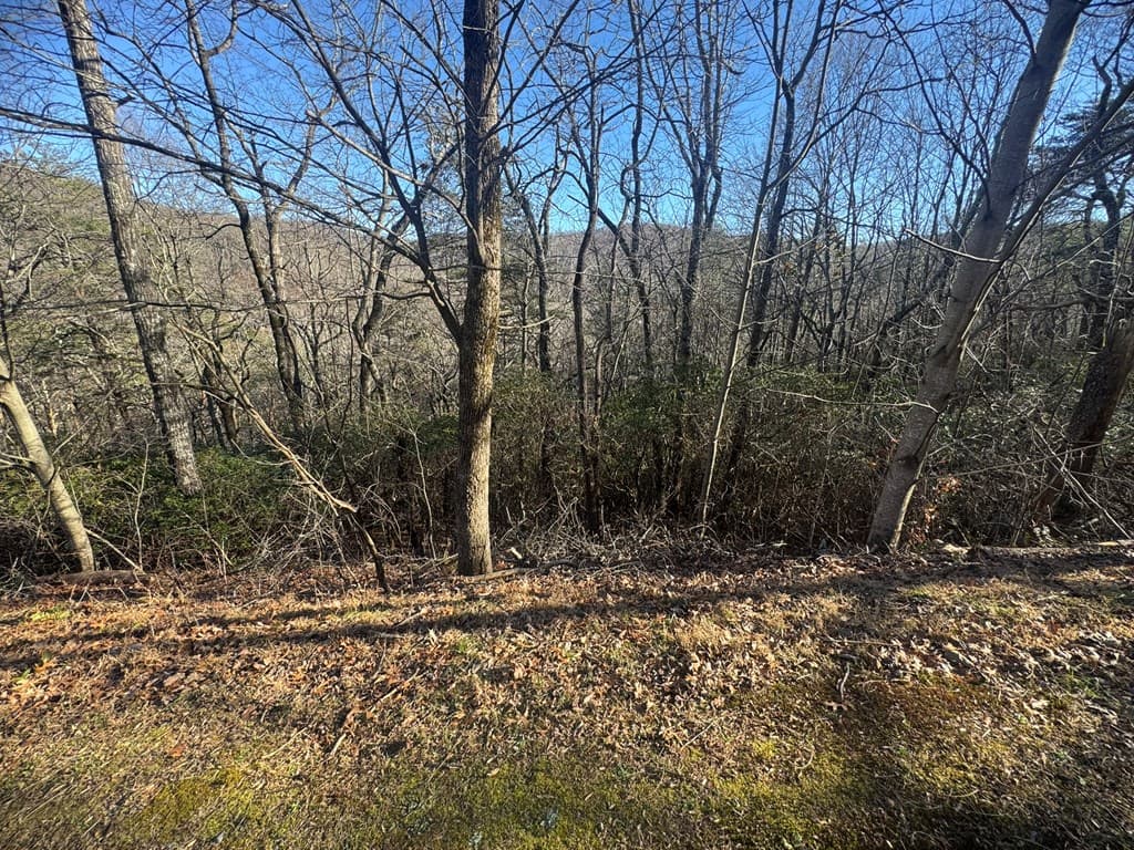 Lot 228 Andes Ridge, Ellijay GA 30540 - Photo