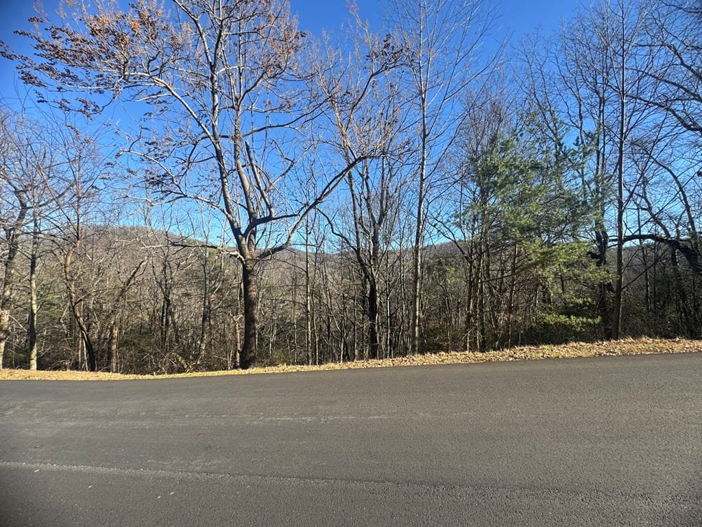Lot 228 Andes Ridge, Ellijay GA 30540 - Photo