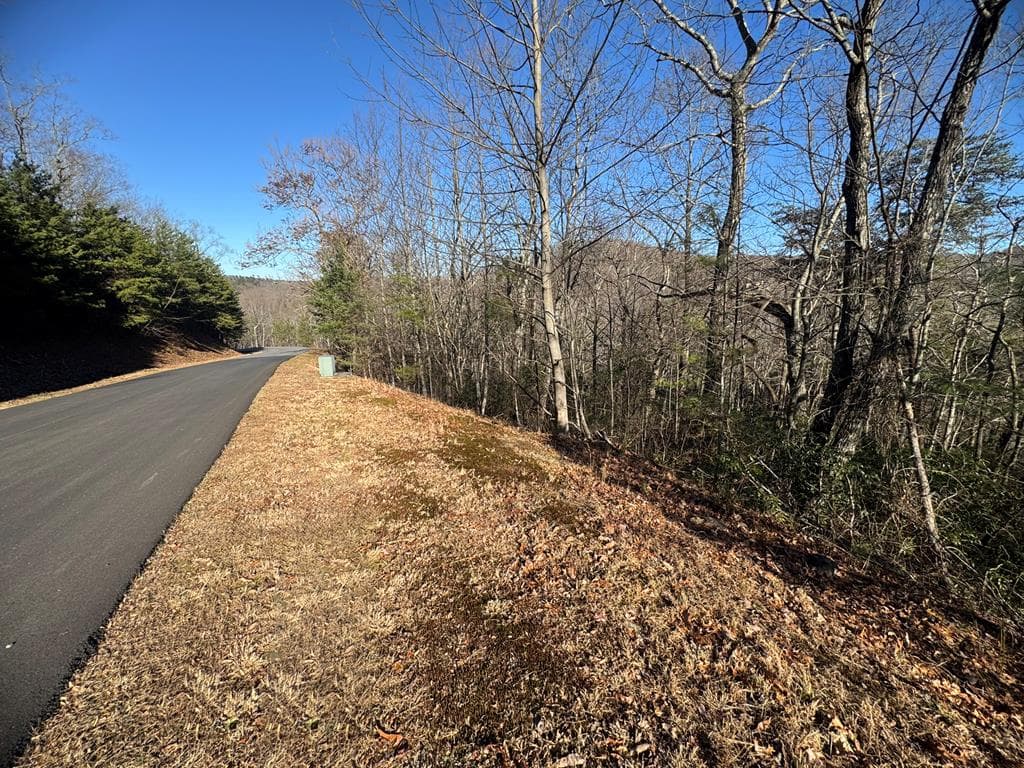 Lot 228 Andes Ridge, Ellijay GA 30540 - Primary photo